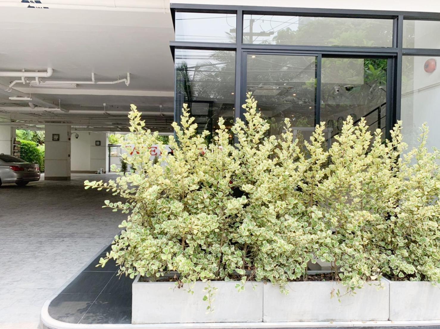 Pacific Residence 39 Bangkok Exterior foto